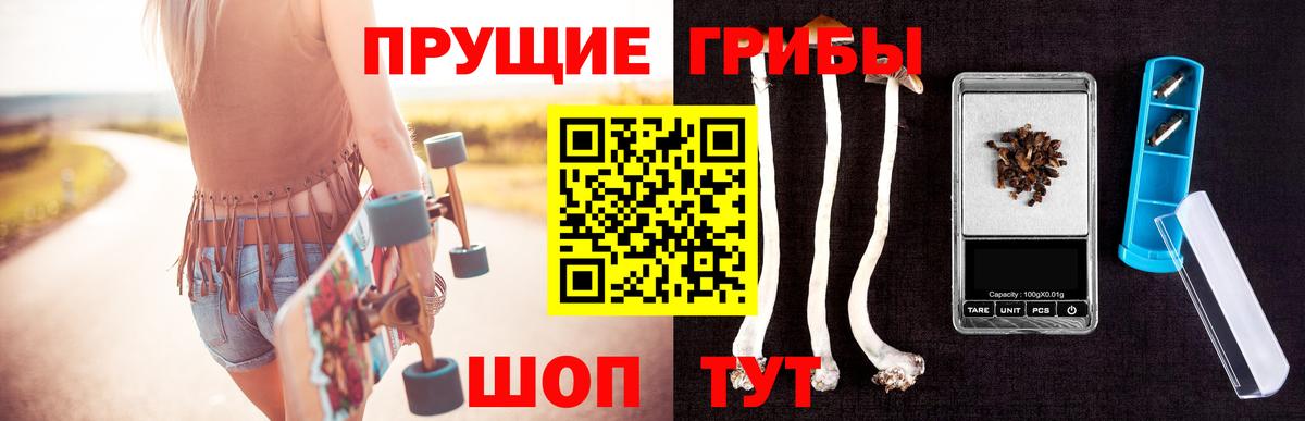 Вольск  Галлюциногенные грибы мицелий  Вход с VPN 